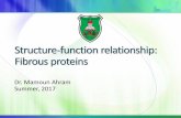 Structure-function relationship: Fibrous proteins · Two important classes of proteins that have similar amino acid sequences and biological function are called -and -keratins, which