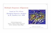Multiple Sequence Alignment - Alexandru Ioan Cuza Universityciortuz/SLIDES/msa.pdf · Automatic multiple sequence alignment methods are a topic of extensive research in bioinformatics.