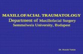 MAXILLOFACIAL TRAUMATOLOGY Department of Maxillofacial …semmelweis.hu/szajsebeszet/files/2017/06/Maxillofacial... · 2017-06-01 · MAXILLOFACIAL TRAUMATOLOGY Department of Maxillofacial