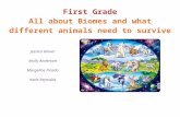 tracyrock.weebly.comtracyrock.weebly.com/.../1/8/7/5187981/1st_grade_biomes.docx · Web viewUnit Guide and Rubric. 1. Introduction and Overview - points - Collaborative. Unit section