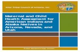 Maternal and Child Health Assessment foritcaonline.com/wp-content/uploads/2018/11/MCH-Surveillance-Report.pdf · Maternal and Child Health Assessment for American Indians and Alaska