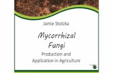 PowerPoint Presentation...PRO . GROW AGRICULTURE PRO caow AGRICULTURE PRO GROW AGRICULTURE Why beneficial microbes? An introduction to mycorrhizae Who are PlantWorks The use of mycorrhizal
