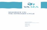 SEQUENCE CSI: THE NITROGEN CYCLE · -Nitrogen Cycle: The nitrogen cycle is the movement of nitrogen throughout an ecosystem – the full nitrogen cycle moves nitrogen through the