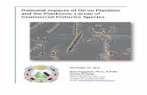 Potential Impacts of Oil on Plankton and the Planktonic Larvae of Commercial Fisheries ... of oil on... · 2014-09-13 · Potential Impacts of Oil on Plankton and the Planktonic Larvae