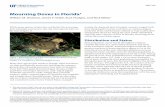Mourning Doves in Florida - University of Floridaedis.ifas.ufl.edu/pdffiles/UW/UW26700.pdf · While many species of dove live in Florida, the mourning dove (Zenaida macroura) is the