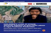 Children’s lives at stake: Working together to end Child labour in …sLivesAtStake.pdf · Children’s lives at stake: Working together to end Child labour in agra Footwear Production