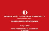 HORIZON 2020’DE BİYOTEKNOLOJİh2020.metu.edu.tr/system/files/.../biyoteknoloji...biyoteknoloji_sunum.pdf · HORIZON 2020 •biggest EU Research and Innovation program •~€80
