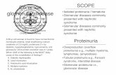 Common glomerular diseasereviews.berlinpharm.com/.../Common_glomerular_disease.pdfCommon glomerular disease Kajohnsak Noppakun, MD Assistant Professor of Medicine Renal Division Department