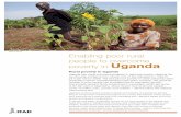 people to overcome Uganda - WordPress.com · 2013-02-17 · people to overcome poverty in Uganda ... to 87 per cent of Ugandans. About 30 per cent of all rural people ... The government’s