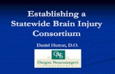 Establishing a Statewide Brain Injury ConsortiumNational Epidemiology Traumatic Brain Injury (TBI) is the leading cause of death and disability in children and adults from ages 1 to