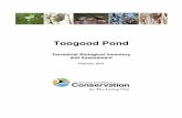 SECTION 1 – POLICY - Toronto and Region Conservation ... · Scott Jarvie, Manager, Watershed Monitoring and Reporting Section This report may be referenced as: ... Toogood Pond
