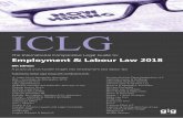 Employment & Labour Law 2018 2...Sabina Lalaj Ened Topi Albania governs the employment relationship of certain employees working in the public sector. The applicable legislation may
