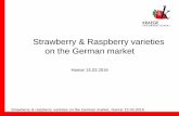 Strawberry & Raspberry varieties on the German …...Strawberry & raspberry varieties on the German market, Hamar 15.03.2016 Kraege Beerenpflanzen GmbH & Co.KG Kraege International