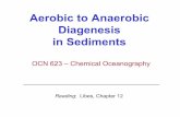 Aerobic to Anaerobic Diagenesis in Sediments · • Diagenesis is the “ sum of all processes that change a sediment or sedimentary rock subsequent to its deposition from water,
