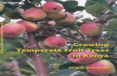 Growing Temperate Fruit Trees in Kenya Growing in …old.worldagroforestry.org/downloads/Publications/PDFS/b...v v Foreword Global production of fruit has tripled over the past 40
