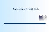 Assessing Credit Risk - World Banksiteresources.worldbank.org/EXTFINANCIALSECTOR/Resources/...27 Quantity of Credit Risk – High (cont.) zThe bank’s return does not justify the