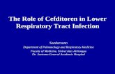 The Role of Cefditoren in Lower Respiratory Tract Infectionkonkerpdpi2019.com/download/materi_sym/day2/8... · The Role of Cefditoren in Lower Respiratory Tract Infection Soedarsono