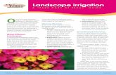 Landscape Irrigation. A 'Take Care of Texas' Guide (GI-409) · soaker hose to irrigate plants, trees, or shrubs that are spaced far apart, because the area between the plants will