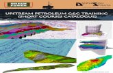 UPSTREAM PETROLEUM G&G TRAINING (SHORT COURSES … · 12. advanced seismic interpretation. 8. introduction to seismic stratigraphy. 10. practical seismic attributes and implications.