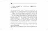 THE ORIGIN OF BIOPOTENTIALS - BioMedsbmepedia.weebly.com/uploads/2/6/6/8/26683759/origin_of_biopotential.pdf · phalogram (EEG), electroneurogram (ENG), electromyogram (EMG), and
