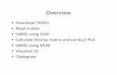 TASSEL Read GWAS GLM PCA GWAS MLM - Cornell ...cbsu.tc.cornell.edu/lab/doc/Lipka_A_GBS_Tutorial...Overview • Download TASSEL • Read in data • GWAS using GLM • Calculate kinship