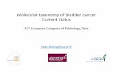 Molecular taxonomy of bladder cancer Current statuscpo-media.net/ECP/2019/Congress-Presentations/1410/-Unlicensed-Nice ECP 2019 Allory.pdfbladder cancer with different sensitivities