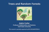 Trees and Random Forests - USUmath.usu.edu/adele/RandomForests/UofU2013.pdfTrees and Random Forests . Adele Cutler . Professor, Mathematics and Statistics . Utah State University .