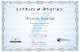 Certificate of Attendance41D989AB...Certificate of Attendance This ceriﬁcate is awarded to Z ...