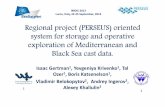 Regional project (PERSEUS) oriented system for storage and ... · Regional project (PERSEUS) oriented system for storage and operative exploration of Mediterranean and Black Sea cast