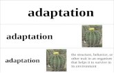 utahenglishdualimmersion.files.wordpress.com  · Web viewadaptation; adaptation. adaptation. the structure, behavior, or other trait in an organism that helps it to survive in .