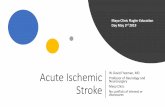 Acute Ischemic Stroke - physicians.flaglerhospital.orgphysicians.flaglerhospital.org/documents/CME/2019-Stroke-Protocol/3-Acute_Ischemic...Acute Ischemic Stroke Objectives •Recognize