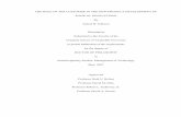 Dissertation Submitted to the Faculty of the in partial ......Dissertation Submitted to the Faculty of the Graduate School of Vanderbilt University in partial fulfillment of the requirements