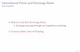 Gita Gopinath - Department of Economics, DSEecondse.org/wp-content/uploads/2014/07/gita_gopinath_lecture_1.pdf · International Prices and Exchange Rates Gita Gopinath Nominal and