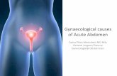 Gynaecological causes of acute abdomen - ALTEC …altec-lates.pt/wp-content/uploads/Comunicacoes/Carlos...Gynaecological causes of Acute Abdomen Carlos Pilasi Menichetti MD MSc General