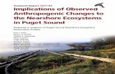 Technical Report 2011-03 Implications of Observed ......Implications of Observed Anthropogenic Changes to the Nearshore Ecosystems in Puget Sound 3 P uget Sound is a place of great