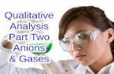 Qualitative Analysis Part Two Anions & Gasesnygh.sg/qualitative_analysis/qa_anions_and_gases.pdfand either aqueous barium chloride or aqueous barium nitrate). Qualitative Analysis
