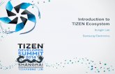 Introduction to TIZEN Ecosystem...- Samsung Ad Hubs Allow to utilize 3rd party solutions if you want - 3rd party In-App Purchase rd- 3 party In-App Ads - rd3 party content store (Music,