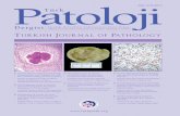 ISSN 1018-5615 Türk Dergisi - Turkish J Pathologyturkjpath.org/cover/cover_TPD_65.pdfISSN 1018-5615 Immunohistochemical Expression of p16 in Pleomorphic Salivary Adenoma Tükürük