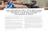 MANDELA BAY DEVELOPMENT AGENCY ADVERTORIAL … · 40 infocom EDN FOUR 01 How did the MBDA get involved with Bayworld? The MBDA has been involved with Bayworld since 2004 when the