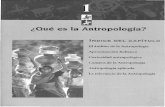 l la ntro - Universidad Juárez del Estado de Durango · a Antropologia, por definicion , es una disci ... La Bioantropologia es uno de los campos mas extensos de la Antropologia.