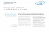Managing the IT Aspects of a Large-scale Divestiture...Managing the IT Aspects of a Large-scale Divestiture IT@Intel White Paper Intel Information Technology Business Solutions May