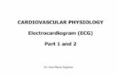 CARDIOVASCULAR PHYSIOLOGY Electrocardiogram … 2 and 3...Electrodes are connected to (+)/(–) side of a voltmeter. A standard 12-lead ECG is obtained using 2 electrodes on the upper