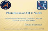 Photofission of 238-U Nuclei - Thorium Energy World...Uranium-238, inside compound UO2(NO3)2, was prepared with appropriate geometry for irradiation and detection of the yield with