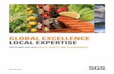 GLOBAL EXCELLENCE LOCAL EXPERTISE · experts in the world. With a presence in nearly every single region around the globe, our experts speak the local language, understand the culture