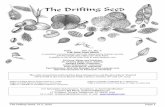 2015 Vol. 21, No. 2 THE DRIFTING SEED A newsletterThe Drifting Seed, 21.2, 2015 Page 2 A Shea Nut, Vitellaria paradoxa, from the Dutch Coast by Gerhard C. Cadée, gerhard.cadee@nioz.nl
