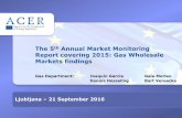 The 5th Annual Market Monitoring Report covering 2015: Gas ... · The 5th Annual Market Monitoring Report covering 2015: Gas Wholesale Markets findings ... • Constraints to buy