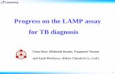 Progress on the LAMP assay for TB diagnosis · 1 Progress on the LAMP assay . for TB diagnosis. Tetsu Hase, Hidetoshi Kanda, Tsugunori Notomi . and Junji Morikawa (Eiken Chemical