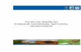 PLAN DE MANEJO PARQUE NACIONAL NATURAL ......El Parque Nacional Natural (PNN) Munchique está localizado en el Departamento del Cauca, al occidente de la ciudad de Popayán, en jurisdicción