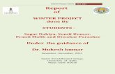 WINTER PROJECT WORK Report of - University of Delhipeople.du.ac.in/~mrana/project/2013 - Winter Project.pdf · WINTER PROJECT WORK 2012- 2014 Report of WINTER PROJECT done By STUDENTS