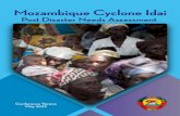 Mozambique Cyclone Idai · meters. IDAI also brought a large storm surge in the coastal city of Beira and surrounding areas of Sofala province. An estimated 3,000 sq. km of land and